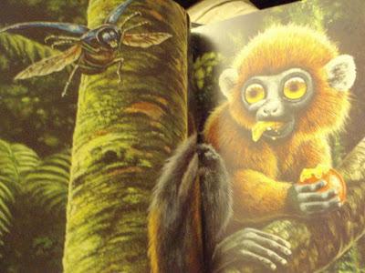 Ida, l'extraordinaire histoire d'un primate vieux de 47 millions d'années