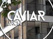 ARCHI 2000 Livingstone