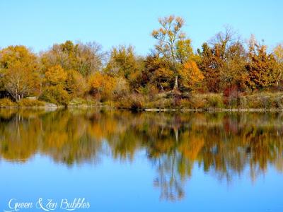 Des reflets sur l'eau ...