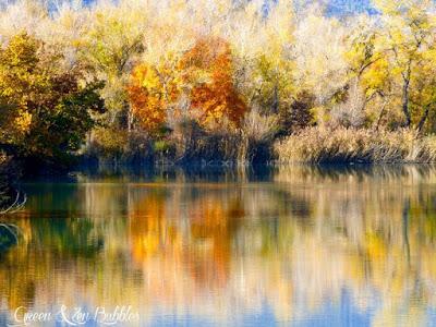Des reflets sur l'eau ...