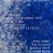 Exposition « Pour finir l’année 2015 » Galerie Aude Guirauden |  Toulouse