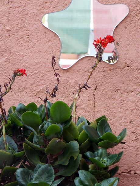 miroir mon beau miroir