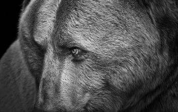 tumblr_nf4yxdcQNe1rv33k2o4_1280