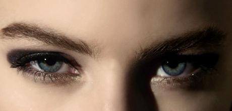 image dior noel 2015