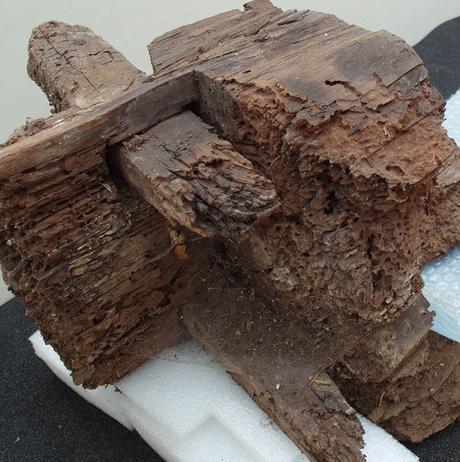 Corse: découverte exceptionnelle de deux cercueils en bois de l'Âge du Bronze