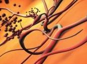 RÉTINOPATHIE DIABÉTIQUE: Lucentis plus efficace laser JAMA