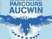 Vernissage l’exposition Aucwin galerie