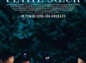 Notre petite soeur, douceur sororité