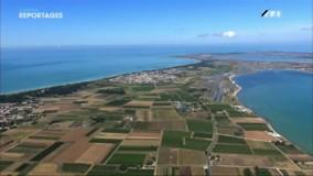 Afficher l'image d'origine