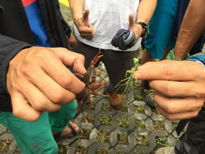 Le ShenXianJu Highline Festival en Chine - Théo Sanson