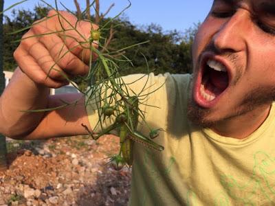 Le ShenXianJu Highline Festival en Chine - Théo Sanson