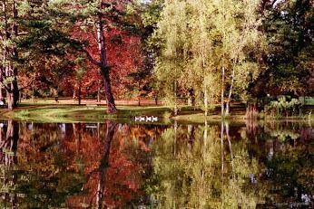 Semaine du 2 au 8 Novembre 2015