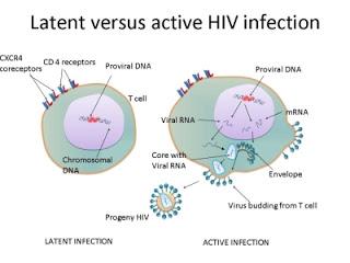 #thelancethiv #VIH #ARN #CD4 #disulfiram Administration sur le court terme de disulfiram pour l’activation d’une infection VIH latente : étude de phase 2 d’accroissement de dose