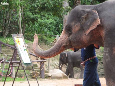 La Thaïlande - les animaux
