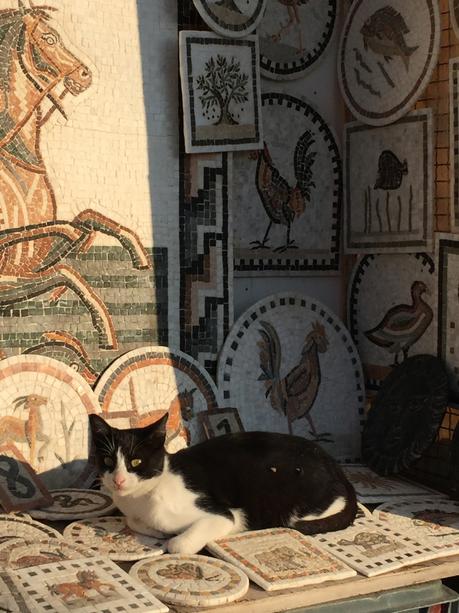 TUNISIE (PART ONE) : SIDI BOU SAÏD, LE PETIT PARADIS BLEU ET BLANC