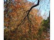 Parc Montsouris, Paris