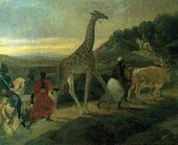 Le premier zoo de France : La Ménagerie- Son histoire, ses animaux...