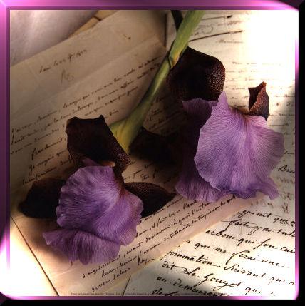 Point de vue, simple et décapant, loin des bonnes pensées