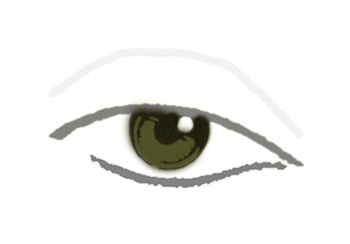 blankfacechart-landcape-(1)