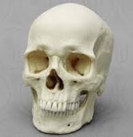 Un coup sur la tête ?