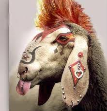 Non, je ne me fous pas de ta g…