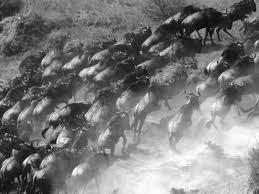 Tout fout l’camp mon bon monsieur…