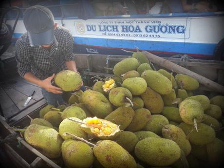 mekong delta vietnam