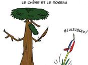 gland roseau (d’à près Jean Fontaine)