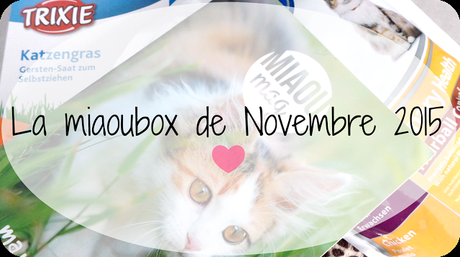 La miaoubox de novembre 2015