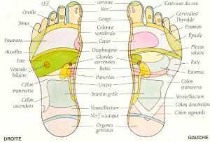 carte-des-pieds