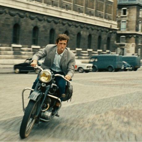 les fauvettes belmondo