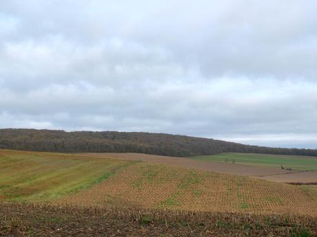 Résoudre la confiance en soi