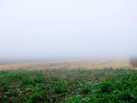 Résoudre la confiance en soi