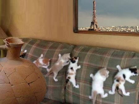 MATOUS RAIENT, FÊLENT !