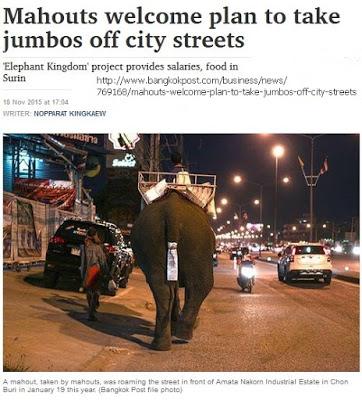 Thaïlande, fin d'errance pour les éléphants des villes
