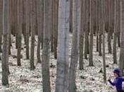 Footing Froid sont-ils incompatibles