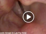 INGÉNIERIE TISSULAIRE: recréent cordes vocales fonctionnelles laboratoire Science Translational Medicine
