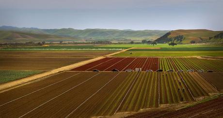 Comment les multinationales se servent du changement climatique pour imposer leur futur modèle agricole