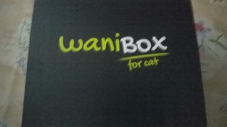 wanibox for cat