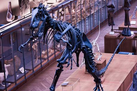 Museum national d'Histoire naturelle. - Épisode 2 Museum national d'Histoire naturelle. - Épisode 2