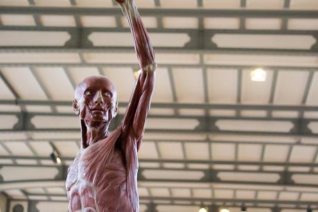 Museum national d'Histoire naturelle. - Épisode 2 Museum national d'Histoire naturelle. - Épisode 2