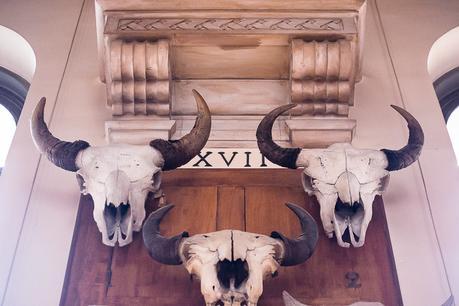 Museum national d'Histoire naturelle. - Épisode 2 Museum national d'Histoire naturelle. - Épisode 2