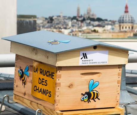 La ruche du Marriott Champs Elysées et ses petits pots de miel