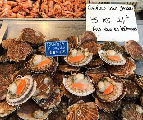 Coquilles Saint Jacques