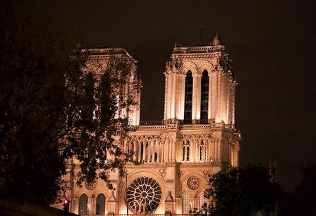 Notre Dame de Paris croisère bâteaux mouches sur la Seine