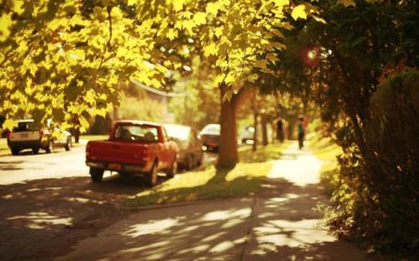 city-street-cars-trees-summer-sunshine-people-hd-wallpaper-1680x1050