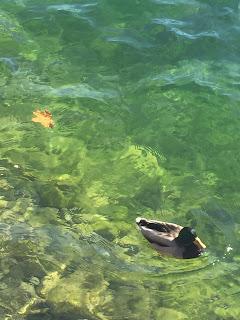 Bretzel & Café Crème miscellanées de novembre 2015