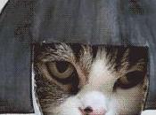 Déconstruire officiellement vilaines théories complot