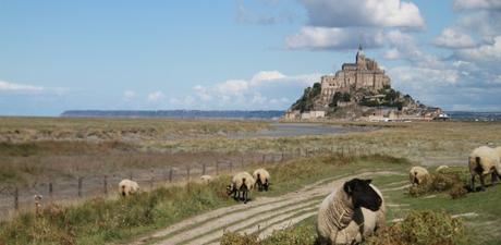 (Re)naissance d’une île