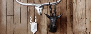 Une déco pour voyager Têtes d'animaux